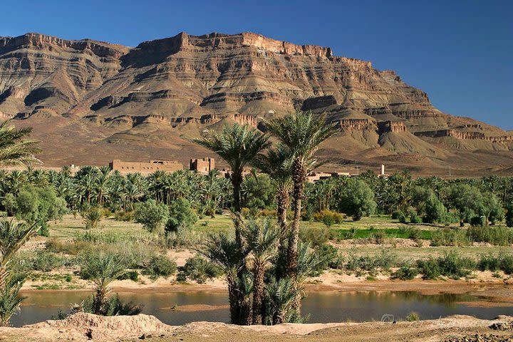 Day Trip to Erg Chegaga Dunes from Zagora  image