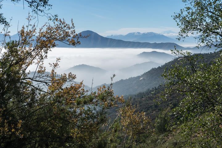 La Campana National Park - Private Guided Full Day Tour image