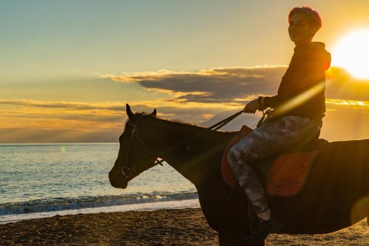 Antalya Beach & Forest Horseback Ride image