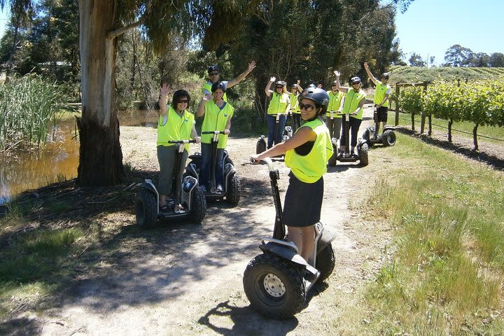 Rochford Winery Segway Tour (90) in the Yarra Valley image