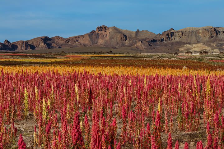 Virtual tour Salar de Uyuni - Bolivia (Online exhibition via Zoom) image