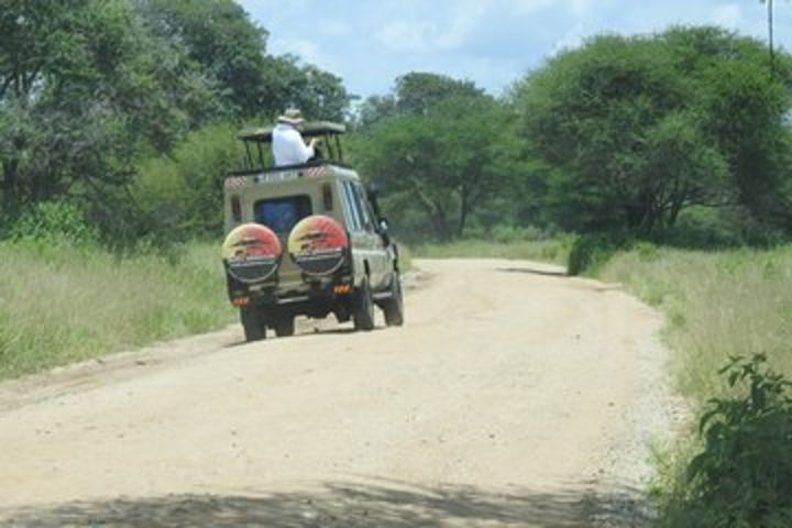 8 Days Top Luxury Tanzania Safari image