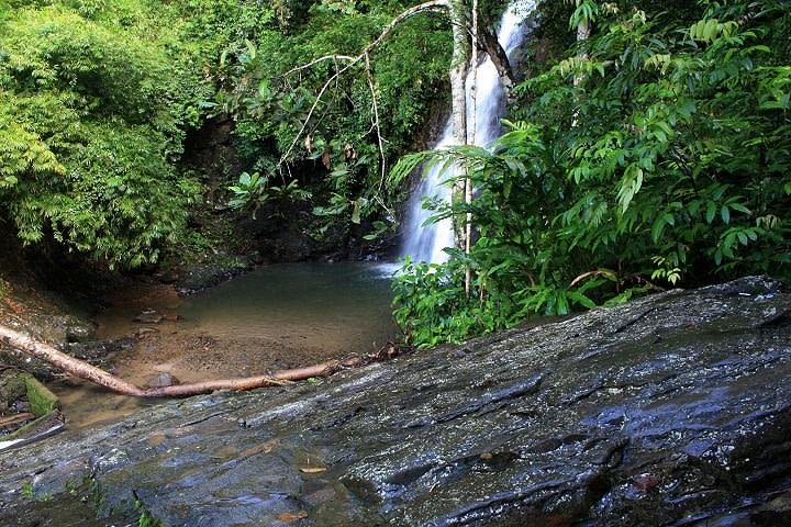 Private Tour: Full Day Langkawi Durian Perangin Waterfall Nature Tour Including ATV Adventure image