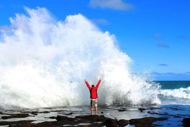 Dunedin to Te Anau via Catlins Tour image