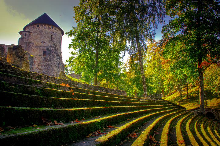 Private Trip to Cesis Medieval castle from Riga image