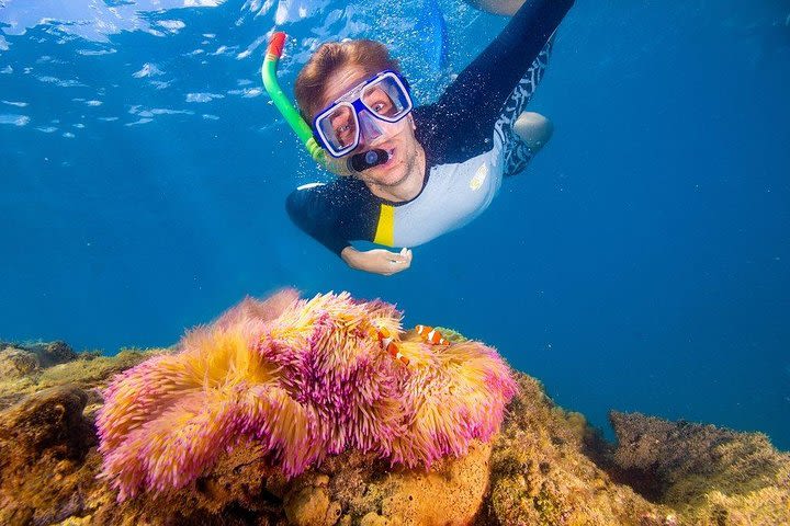 Full-Day Cruise Tour to Frankland Islands Great Barrier Reef image