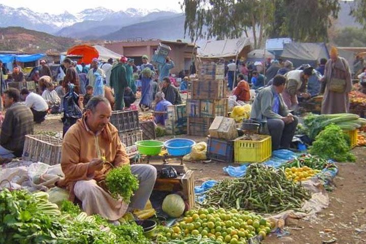 Private Day Trip from Marrakech: Ourika Valley, Berber House, Waterfall and Camel Experience image