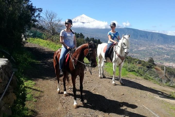 Horse riding in Puerto de la Cruz, Tenerife image