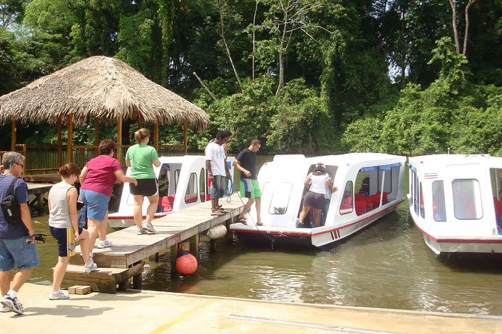 Nature History Tour. Tortuguero Canal & Cahuita National Park Shore Excursion image