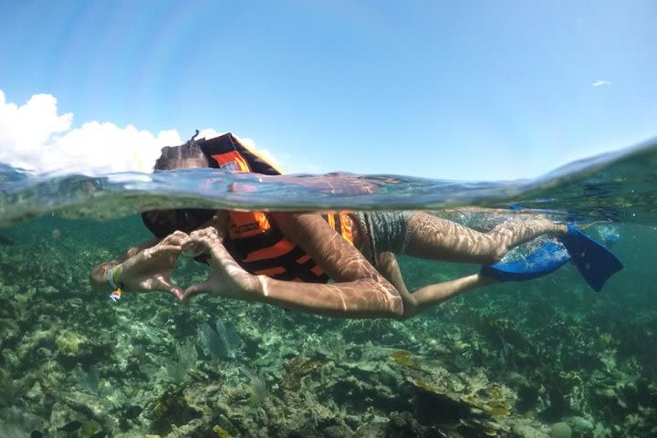 Puerto Morelos Reef Snorkeling Tour with Lunch image