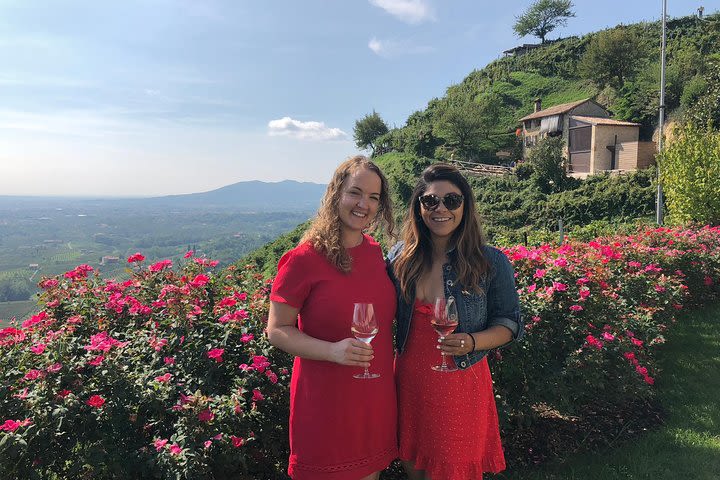 A sparkling day in the Prosecco Hills image