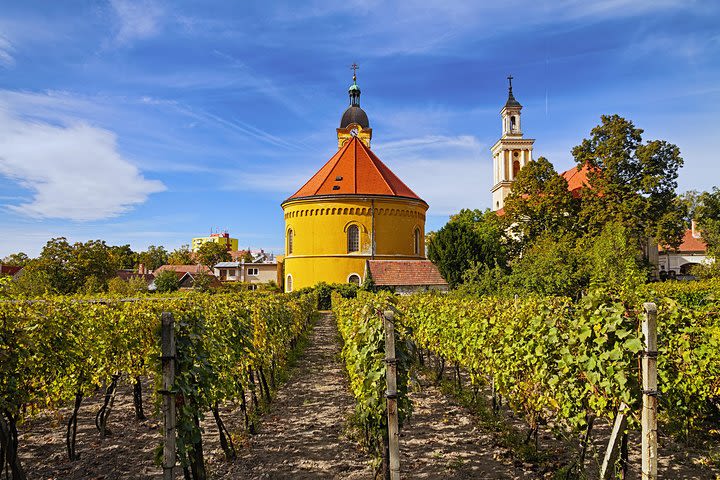 Small Carpathian Wine Tour image