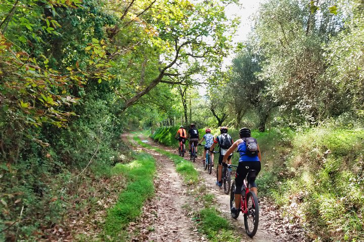 Eleftherna E-Bike and MTB Tour - Experience The Authentic Crete image