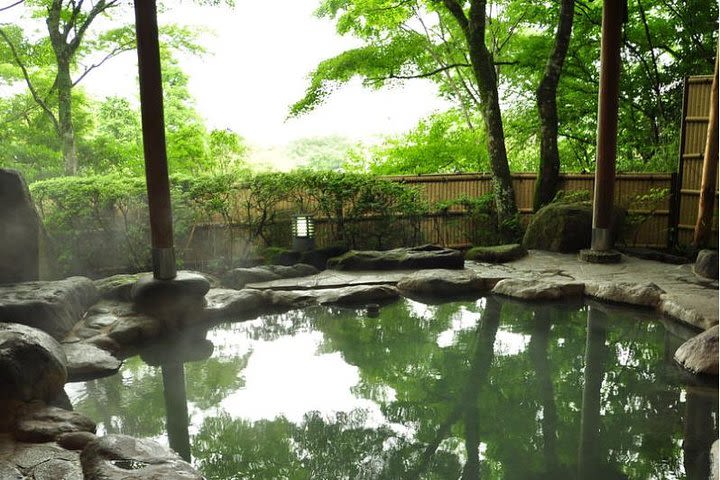 Relaxing Hot Spring Half Day Tour in Beitou with Private Tour Guide image