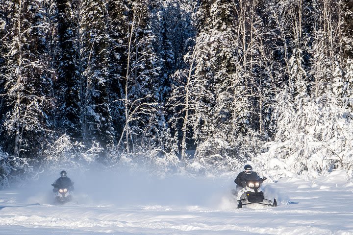 Guided Fairbanks Snowmobile Tour image