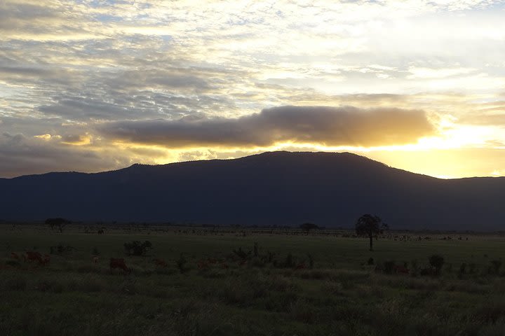 5 Days Safari Tsavo East Voyager Ziwani Amboseli Tsavo West Kilanguni Serena Ldg image