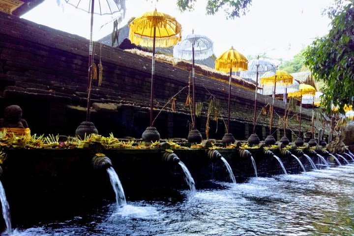 Bali Swing Ubud Private Day Tour image