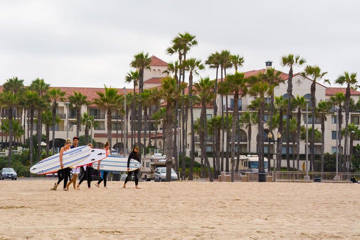 Whale-Watching and Orange County Beaches Tour from Anaheim image