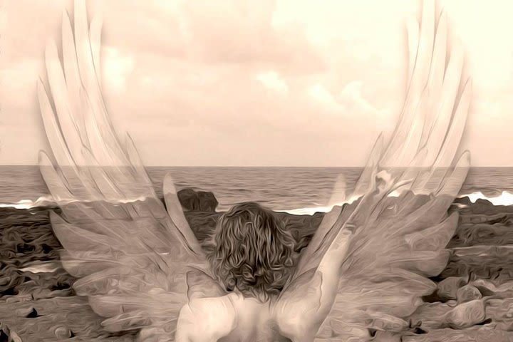 Angelic Imaginal Wings Session in Sedona Arizona: Find your inner angel! image
