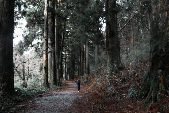 Private Hakone Tour - View of Mt. Fuji, Nature and Culture image