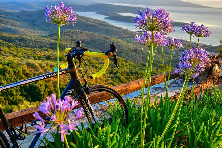 Family & Small-Group Bike-Hike & Cruise Activity Tour in Pelion image