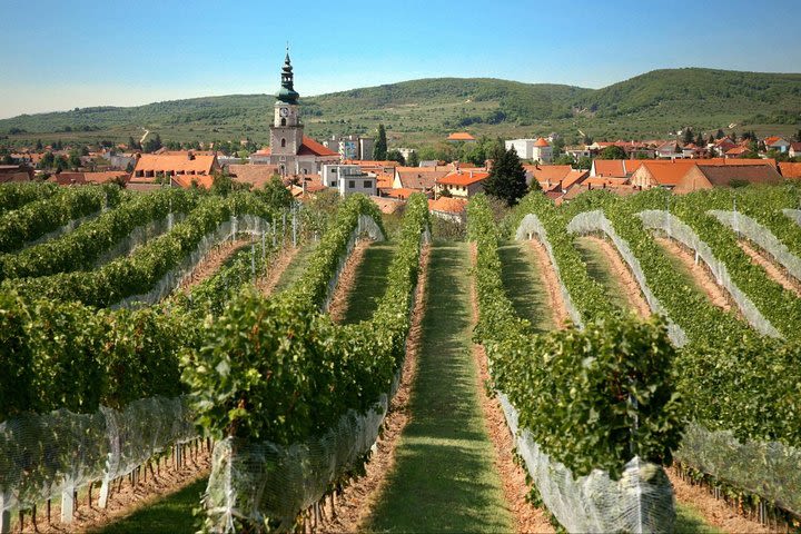 Private Small Carpathian Wine Tour  image