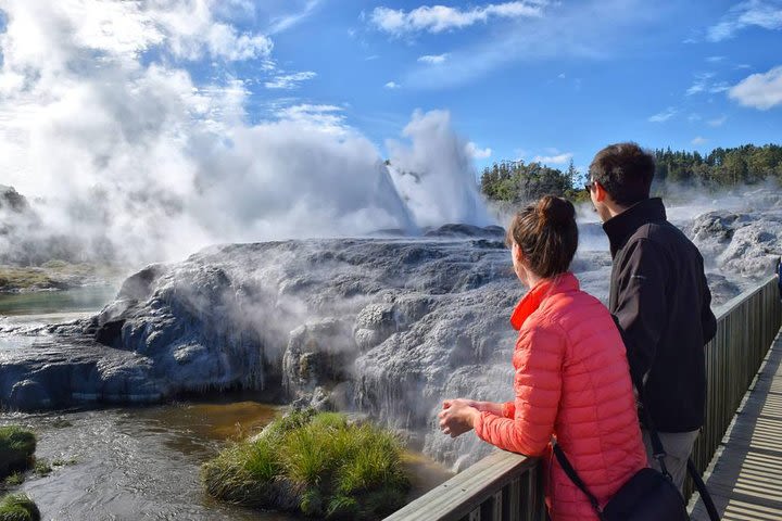  From Tauranga. Private Day Tour. "Te Puia" Geysers. Rotorua  image