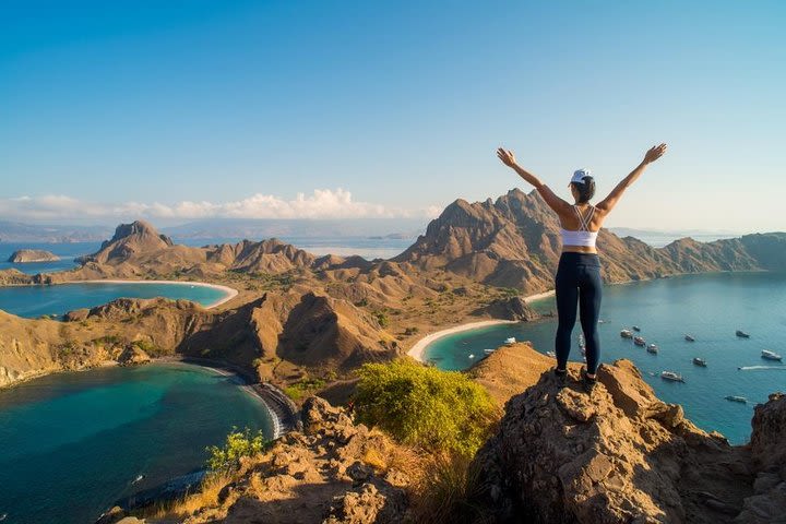 Komodo Island Adventure From Bali (Day Trip) image