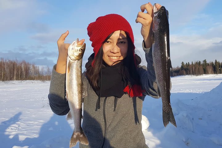 Fairbanks 4 Hr Ice Fishing Expedition  image