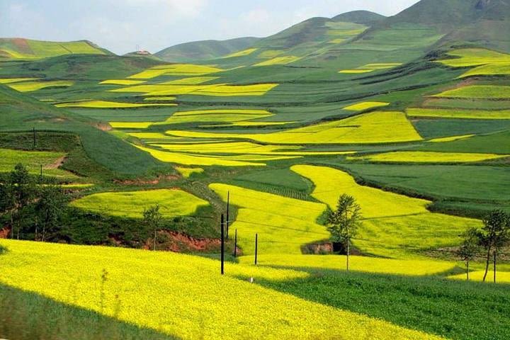 1-Day Longsheng Rice Terrace Tour from Guilin with Private Guide & Driver image