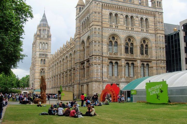 A Day at the Museum - Natural History Museum London image