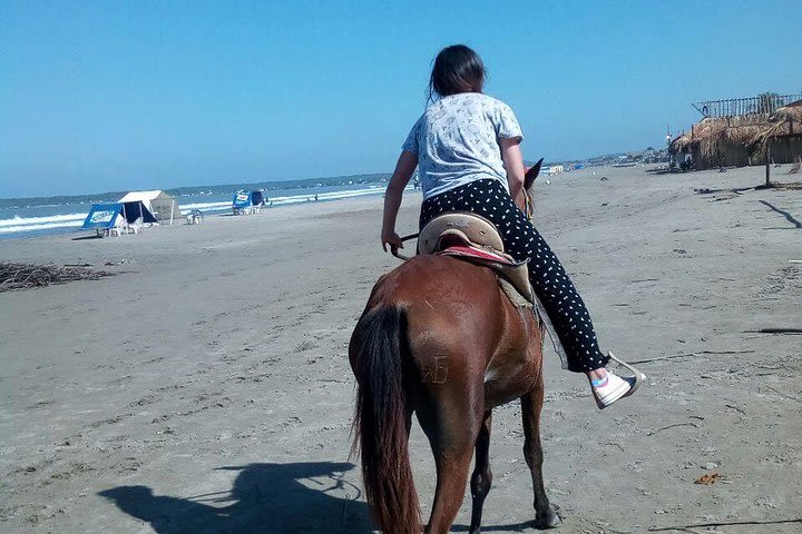 Horse Riding in Cartagena image