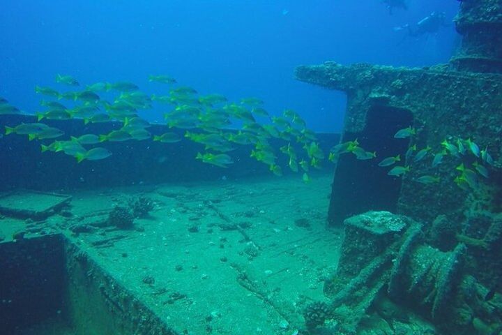 Scuba Shipwreck and Reef Tour for Certified Divers in Honolulu image