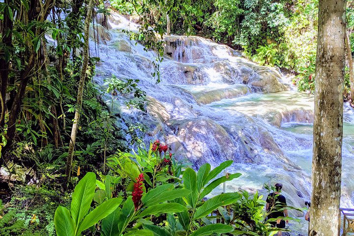 Private Ocho Rios highlight tour image