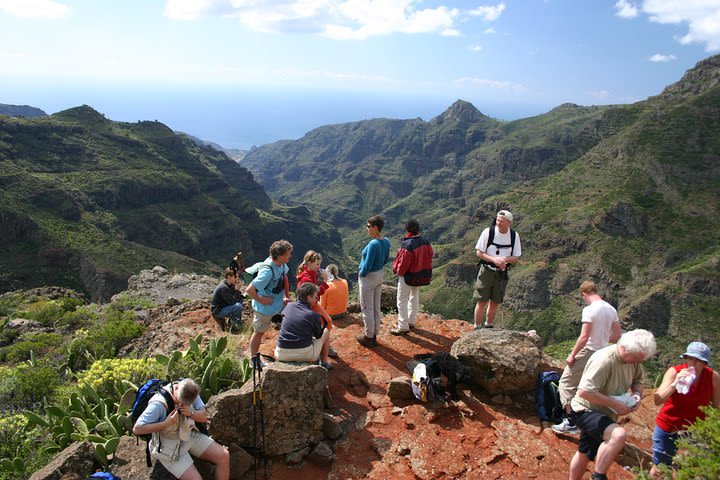 La Gomera's Forest of Fables National Park Tour image