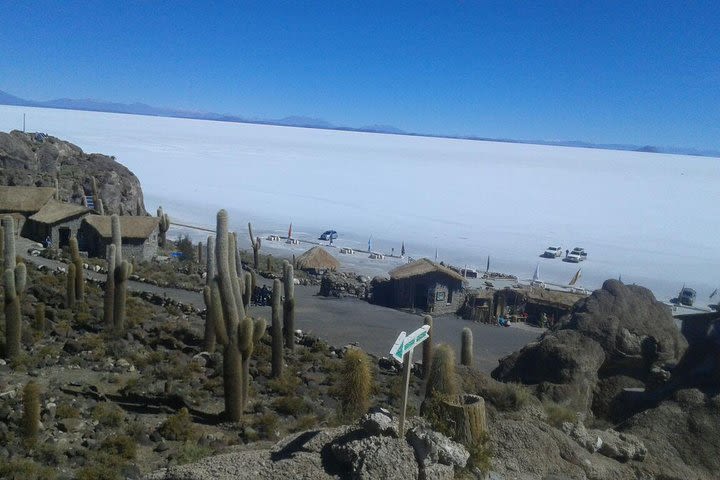 Private Cultural Tour: Uyuni Salt Flats includes grazing of llamas image