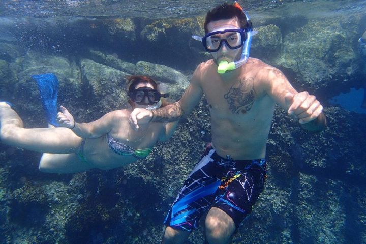 Cabo San Lucas Snorkel & Glass-Bottom Boat Tour image