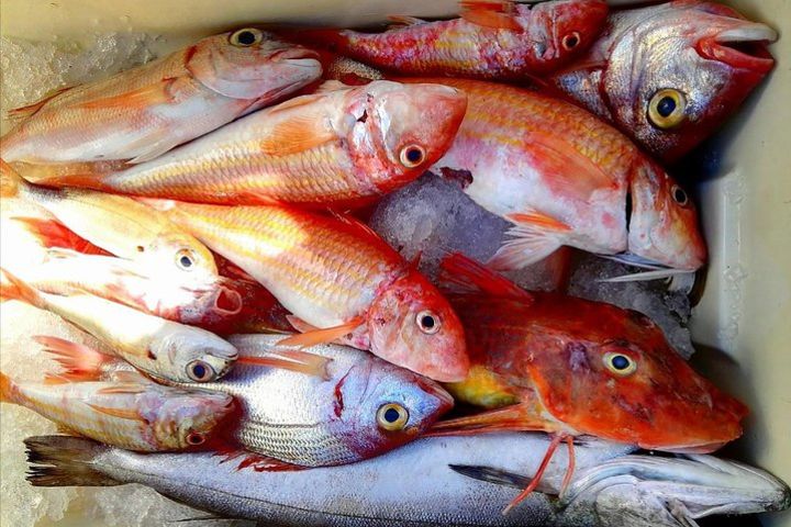 Fishing and lunch to Capri from Sorrento image