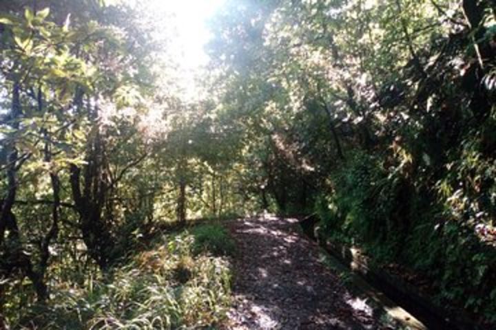 King's Levada Walk - Santana Laurel Forest and Waterfalls image