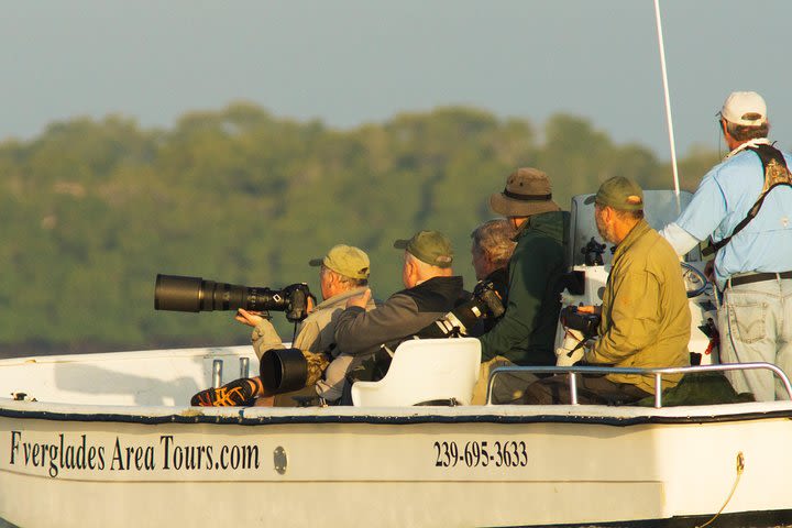 Two-Hour Everglades National Park Dolphin, Birding and Wildlife Boat Tour image