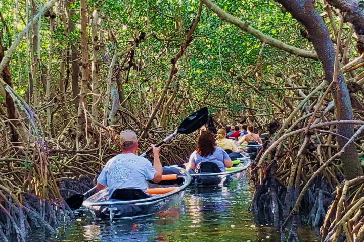 Clear Kayak Tour in Shell Key image