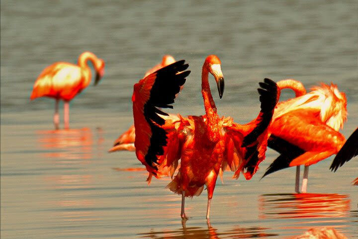 Ek Balam and Pink Paradise Ruins to Rainbow Lakes image