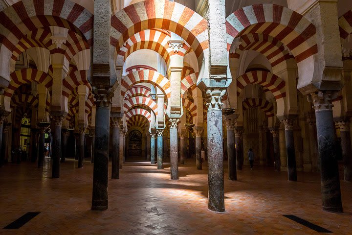 Guided tour of the Mosque with entrance included image