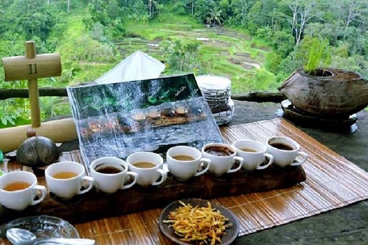 Full-Day : Kintamani Volcano - Jungle Swing - Rice Terrace - Waterfall - Temple  image