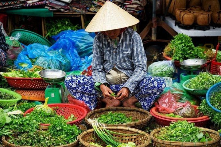  Authentic Hoi An - 'Focus on Locals' Private Tour image