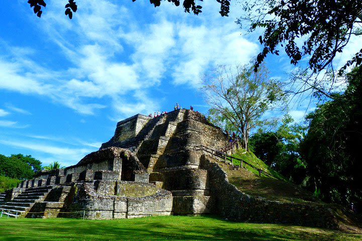 Private Altun Ha Maya Ruin & Zip Line Adventure From Belize City image