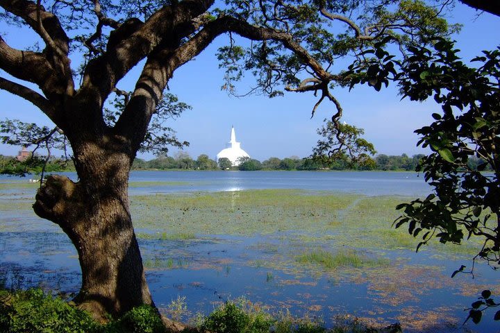 Anuradhapura Private Day Trip from Colombo, Negombo, or Katunayaka image