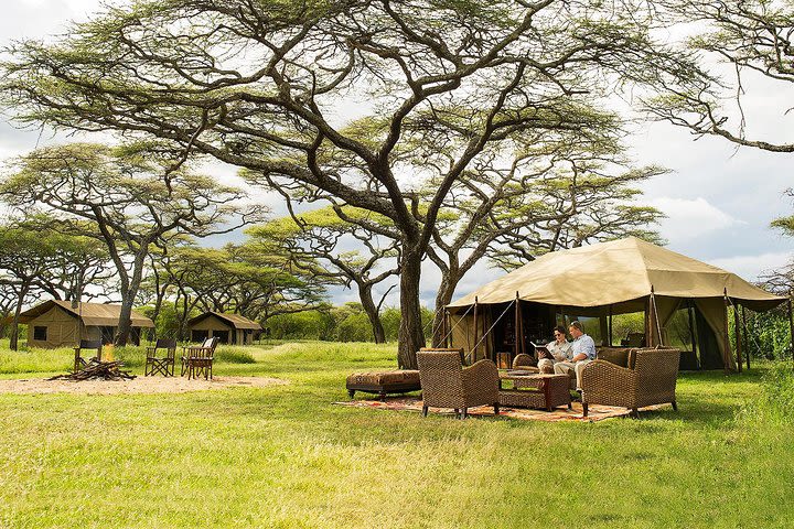 Tanzania 3-Day Private Safari with Full Board image