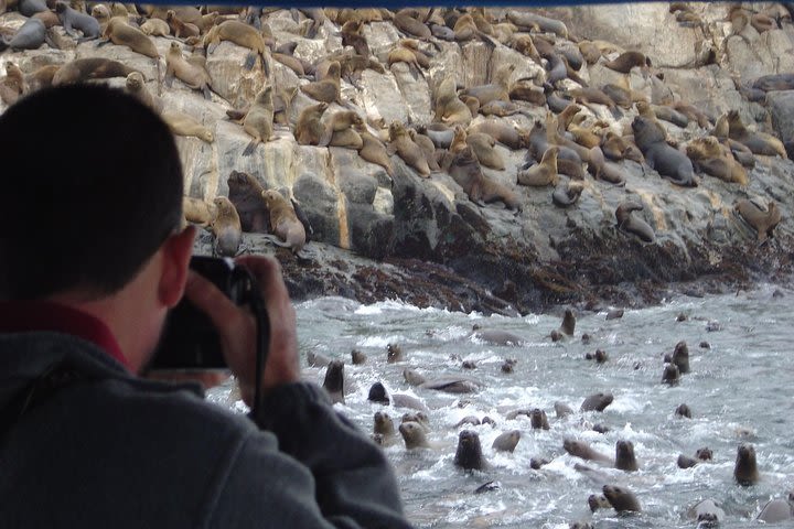 Tour Package - Visit Palomino Islands, Pachacamac and Center Of Lima image