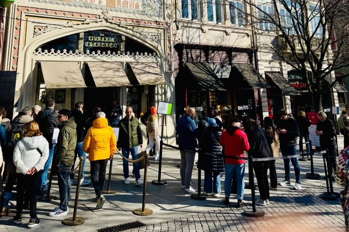 Porto Walking Tour Highlights image